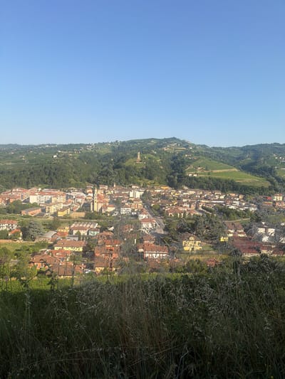 An aerial, eye-level shot captures the town of Santo Stefano Belbo, Italy, nestled within a valley of rolling green hills covered in vineyards. The sky above is a clear, bright blue, devoid of clouds. In the foreground, tall, dry grass and vegetation partially obscure the view of the town. The town itself is densely populated with buildings, featuring a mix of terracotta-tiled roofs and pastel-colored facades. A prominent church with a tall bell tower stands at the center of the town. Winding roads are visible within the urban landscape, and scattered trees dot the scene. The background is dominated by the lush, verdant hillsides, indicative of a wine-producing region. The image appears to be taken during daylight hours, likely in the late afternoon or early evening, given the soft lighting.