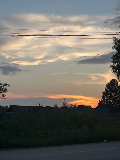 The image depicts a twilight scene in Ludorvay, Russia, characterized by a dramatic sky and a rural landscape. The sky is a gradient of soft blues and grays, transitioning to warm oranges and yellows near the horizon, indicative of sunset. Wispy clouds are scattered across the sky, some catching the fading light with a pale, golden hue. Three parallel power lines traverse the upper portion of the frame horizontally.
Below the sky, a dark silhouette of dense vegetation, likely tall grass and bushes, occupies the middle ground. Within this vegetation, several dark-roofed houses are partially visible, their structures obscured by the overgrowth and the low light. One house in particular has a prominent chimney with a small, illuminated cross at its peak, catching the last rays of the sun. To the right, a tall, dark evergreen tree stands out against the sky, its branches reaching upwards.
In the foreground, a paved road with visible white lane markings runs horizontally, suggesting a roadside view. The overall impression is one of quietude and the end of a day in a Russian rural setting. No people are visible in the image.