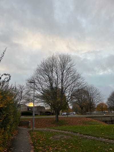 The image depicts a late autumn or early winter scene in a residential area of Stevenage, United Kingdom. The sky is overcast with dense grey clouds, featuring a lighter, brighter patch towards the center. The ground in the foreground and midground is covered significantly with fallen brown and orange deciduous leaves, indicating the season.
A paved footpath runs along the left, bordered by a dense green hedge. A grey street lamp post stands near the path in the left-midground. To the right of the footpath and lamp post, a prominent, large deciduous tree with bare branches dominates the central foreground, surrounded by fallen leaves on a grass verge. Further back, a row of similar bare trees lines a residential road that curves to the right.
In the midground, beyond the hedge and lamp post, several two-story residential houses with light-colored facades and brown roofs are visible. A distinct bright yellow-orange light emanates from a window of one of these houses. Along the road, several parked cars are discernible, predominantly light-colored. To the far right, a concrete or stone bank of a waterway, likely a canal or river (consistent with features like the Stevenage Cut), is visible, topped by a metal railing. No individuals or active interactions are present in the scene.