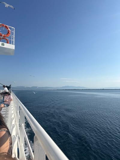 The image captures a view from the deck of a ferry sailing on the Aegean Sea, likely near the coast of Thassos, Greece, given the mountainous coastline visible in the distance. The sky is a clear, bright blue with no clouds. The sea is a deep blue, with gentle waves creating a rippled texture.
In the foreground, the white railing of the ferry runs along the edge of the deck. A few passengers are visible, seated on white benches. One woman in a pink t-shirt and denim shorts is looking at her phone. Another person, partially visible on the left, has a silver-chained strap across their shoulder.
On the upper left of the image, a portion of the ferry's deck structure is visible, painted white. Attached to this structure are two bright orange life preservers. A seagull is in flight in the upper left corner of the frame, and several other seagulls are scattered across the sky above the water.
The background features a distant, hazy mountainous coastline, with some areas appearing to have snow on the peaks. The overall scene suggests a bright, sunny day at sea.