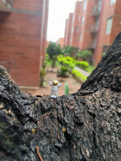 A close-up shot captures a miniature astronaut figurine standing on a rough, dark tree branch. The astronaut is white with gold accents on the helmet and possibly the gloves. Its arms are raised in a gesture of excitement or triumph. Behind the tree branch, the background is blurred, revealing a residential area. Buildings made of red brick are visible, along with some greenery in the form of bushes and a small tree. This scene is likely located in Perímetro Urbano, Cúcuta, Colombia, given that this is part of the original prompt. The overall composition of the image suggests a playful or whimsical theme, juxtaposing the astronaut figure with the mundane backdrop of a city landscape.