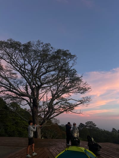The image shows a group of people on a wooden deck, with a large, bare tree in the foreground. The sky is a soft gradient of blue and pink, suggesting it is either sunrise or sunset. In the background, there are lush green trees and a hint of a tent.

There are at least three people visible. One person is standing on the deck, holding a phone and seemingly taking a photo of the tree. Another person is standing next to them, wearing a patterned shirt. A third person is partially visible, leaning down. There are also some large, dark objects on the deck, possibly tires, and a bright green tent.

The overall mood of the image is peaceful and serene, amplified by the soft colors of the sky and the natural setting. The wooden deck and the tent suggest an outdoor camping or glamping experience. The time of day appears to be either dawn or dusk, as indicated by the pastel colors in the sky. The location context provided is El Cacao, El Salvador.