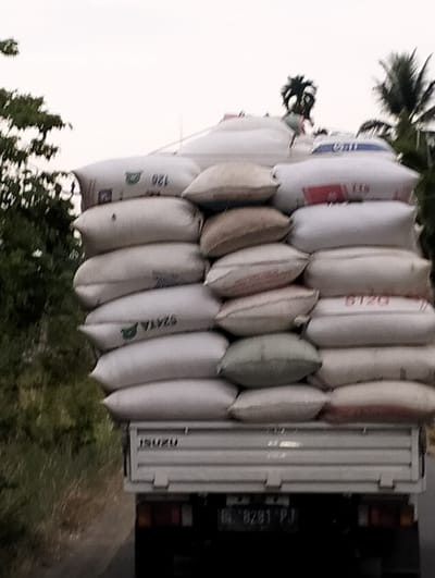The image shows a white truck loaded with large sacks of grain. The truck is driving on a road with vegetation on either side, suggesting a rural or semi-rural setting. The sky is overcast. The truck has the brand name "ISUZU" visible on its rear. A license plate with the inscription "B 8291 PJ" is also visible. There are no people clearly visible in the image, but a dark, possibly human-shaped figure with something on its head is perched atop the sacks on the truck. The sacks are white and some have writing on them, though it is mostly illegible due to the resolution and distance. The overall impression is of a working truck transporting agricultural goods. The location is identified as Meunasahdayah, Indonesia.