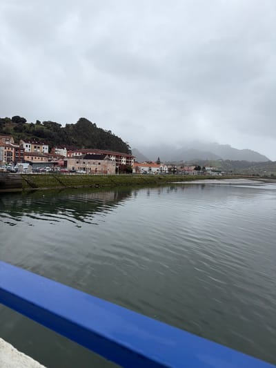 This image depicts a panoramic view of the Sella River estuary in Ribadesella/Ribeseya, Spain, on an overcast day. In the foreground, a diagonal blue metal railing and a concrete base, likely part of a bridge or embankment, are visible in the lower left. The mid-ground is dominated by the dark, rippled surface of the estuary, which reflects the grey sky. A small white spherical buoy is present on the water near the left bank.

The left bank of the estuary features a stone retaining wall covered in mossy green vegetation, with several stone steps descending towards the water on the far left. Immediately behind this wall is a paved area serving as a parking lot, populated by numerous parked passenger vehicles of various colors. Beyond the parking area, a cluster of multi-story buildings, characteristic of a town, line the riverfront. These structures exhibit diverse architectural styles and color palettes, including white, beige, brown, and light orange, with some featuring red-tiled roofs. A prominent light-colored stone building with a dark roof stands centrally among them.

Behind the town buildings on the left, a steep hillside densely covered with green trees and vegetation rises. In the far background, particularly to the right, a range of mountains is visible, partially obscured by mist and low-hanging clouds, indicating an overcast atmospheric condition. No individuals are discernible within the frame. The overall scene is devoid of active human or animal subjects, focusing instead on the static urban and natural landscape under a uniformly grey sky.