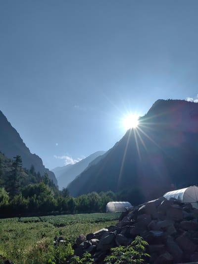 This is a landscape photograph taken in a rural mountainous region, not Udaipur, India. The sun is setting behind a mountain on the right side of the frame, casting long shadows and creating a starburst effect. In the foreground, there is a field of green crops, bordered by a pile of dark rocks on the right and dense trees on the left. Two white polytunnels are visible in the middle ground, suggesting agricultural activity. The sky is clear and blue, with a few faint clouds. The overall scene depicts a serene and natural environment.