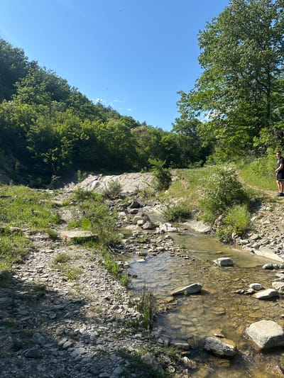 The image shows a landscape in Kozichino, Bulgaria. A stream flows through a rocky bed with clear, shallow water. The banks of the stream are covered with light-colored rocks and sparse vegetation. A steep, tree-covered hillside rises on one side of the stream. Above the hillside, a clear blue sky is visible. At the top edge of the image, a person is lying on the ground in the upper left corner.
