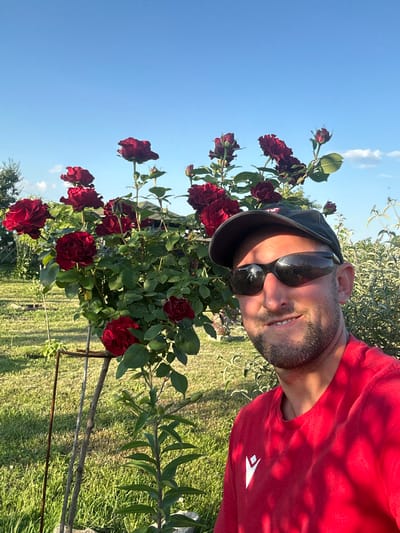 A man wearing a red t-shirt, a black baseball cap, and sunglasses is taking a selfie outdoors. He has short dark hair and stubble. He is smiling at the camera. He is standing next to a rose bush with dark red roses. The background shows a grassy area and a clear blue sky. The image appears to be taken during the daytime, likely in the late afternoon due to the warm lighting. The man's attire and the presence of roses suggest a warm weather setting, possibly a garden or park. There is no visible text in the image.