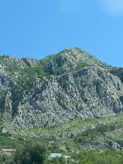 The image presents a close-up view of a mountainside in Blizikuće, Montenegro, with a predominantly rocky terrain. The rocks are light grey and feature numerous crevices and ridges. Sparse vegetation, including small trees and shrubs, grows on the mountainside, particularly in the crevices and along the edges. The sky is a clear, bright blue, contrasting with the grey rocks. On the right edge of the frame, there are few trees and houses.