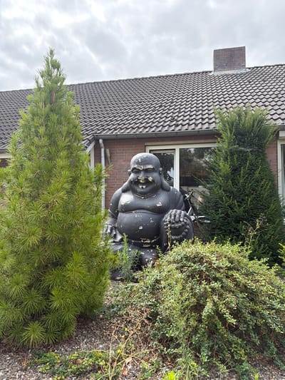 This is an exterior, medium shot of a dark, weathered statue of a laughing Buddha situated in front of a residential building. The statue is positioned centrally, partially obscured by dense green foliage in the foreground. To the left and right of the statue are evergreen trees, with the tree on the left being a pine with sharp needles and the tree on the right being a conical yew. Behind the statue and trees, a house with a dark tiled roof and red brick accents is visible. A window with a white frame is present on the house, reflecting the sky and surrounding trees. The sky is overcast with visible clouds. The ground beneath the foliage and statue is covered in gravel. The scene appears to be in a garden setting outside a house in Melick, Netherlands.