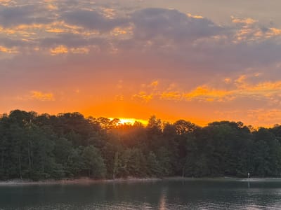 A scenic view captured in Buford, United States, depicts a sunset or sunrise over a body of water, likely a lake or reservoir. The sky dominates the upper portion, featuring a gradient of vibrant orange and warm pink hues transitioning upwards into muted grey clouds with golden highlights. The sun, a brilliant orange orb, is partially obscured by the distant tree line, casting bright rays that extend into the clouds above and through the foliage below.
A dense, dark green forest occupies the middle ground, forming a distinct horizontal band across the image. The trees, mostly deciduous and coniferous, appear silhouetted against the glowing sky, with their individual canopies and branches discernible. The shoreline at the base of the forest reveals exposed earth and a few sparse, lighter-colored trees or branches near the water's edge.
The lower third of the image is occupied by calm, dark water, which reflects minimal light from the sky, creating subtle ripples on its surface. On the far right side of the image, near the water's edge and slightly into the water, a small, square white sign or marker is visible. No individuals or animals are present in the scene.