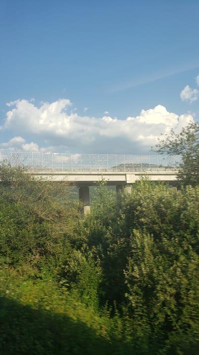 The image depicts a highway overpass on a sunny day, likely in or near Turany, Slovakia. The overpass, constructed with concrete pillars and a flat deck, is partially obscured by dense green foliage in the foreground and midground. A sound barrier, composed of transparent panels with white framing, lines the edge of the overpass. The sky above is a clear blue, dotted with fluffy white clouds. The overall impression is one of infrastructure integrated into a natural, somewhat wild landscape.