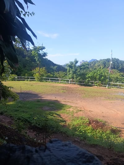 The image presents a daytime view of a natural landscape in Ban Tak Daet, Thailand. In the foreground, a shadowed area with dark-colored, rough texture is observed, potentially a stone or soil structure. Above this, a patch of green vegetation transitions into an open area of mixed dirt and grass. A white fence runs horizontally across the midground, delineating the open area from the dense forest beyond. The background is composed of lush green hills and trees. A light blue sky is visible above, with some cloud cover. An electrical or lighting post is positioned to the right of the fence, protruding upwards.