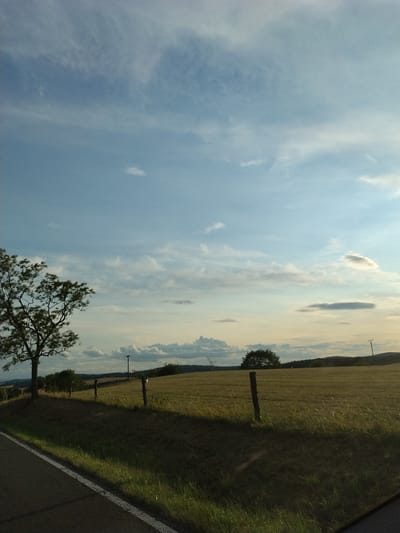 This image depicts a rural landscape with a road in the foreground and a field stretching towards the horizon. A lone tree stands on the left side of the road, casting a shadow across the grassy verge. A fence with wooden posts runs along the edge of the field. The sky is partly cloudy, with patches of blue sky visible. The sun appears to be low in the sky, suggesting it is either early morning or late afternoon. The overall impression is one of a peaceful, pastoral setting. There are no people or animals visible in the image, and no specific structures or landmarks that would allow for precise identification of the location. While the prompt mentions the city of Dobev, Czechia, there is no visual information within the image to confirm or deny this location.