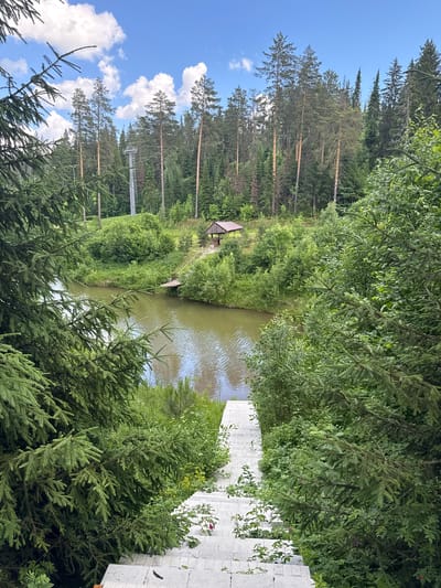 The image depicts a serene natural landscape in Nechkino, Russia. In the foreground, a set of white stone stairs descends towards a calm body of water. Lush green trees, including prominent fir branches, frame the scene on either side. The water, likely a river or lake, reflects the blue sky dotted with white clouds. Across the water, a dense forest of pine and other deciduous trees covers the landscape. A small wooden gazebo with a brown roof is visible on the opposite bank, near a wooden dock extending into the water. A ski lift tower can be seen in the distance, amidst the trees. The overall impression is one of a tranquil, wooded, lakeside setting.