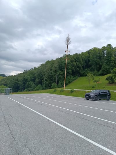 The image depicts an outdoor scene in Hallein, Austria, under a cloudy sky. In the foreground, there is a paved parking lot with white lane markings. A black SUV is parked in one of the parking spaces. In the mid-ground, a tall wooden pole with a small tree or branch at the top stands vertically. Behind the pole, there is a lush green hillside covered with dense trees. To the left of the parking lot, there are some metal structures and pallets. The overall environment suggests a rural or semi-rural setting.
