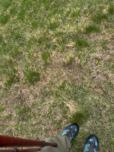 A first-person perspective shot shows the feet of a person wearing hiking boots and walking pants, along with a trekking pole, standing on a grassy field. The field is a mix of green and dry grass, with scattered small yellow and purple wildflowers. The scene appears to be outdoors, possibly in a mountainous region, given the presence of hiking gear and the natural terrain. The lighting suggests it is daytime, with sunlight casting some shadows on the grass. The image does not contain enough detail to definitively place the location within Leukerbad, Switzerland.