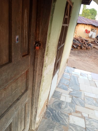 The image depicts a weathered wooden door with an orange padlock on its right side, secured to a metal hasp. A small, colorful sticker featuring a person in a suit is affixed to the upper left section of the door. The door is part of a building with a light green, textured wall adjacent to it. The wall has a window with a dark metal grate. Beyond the building, a pile of cut logs lies on dusty ground in front of another building with a corrugated metal roof. The ground in the foreground is paved with irregular, light-colored tiles, some featuring a marbled grey pattern. The scene appears to be in an outdoor setting.