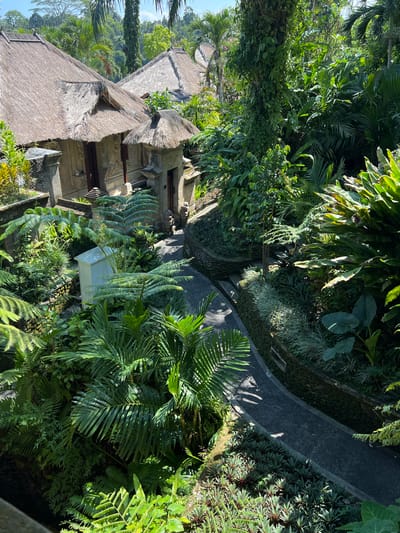 The image depicts a lush, verdant landscape in Kedewatan, Indonesia. A path of dark, compacted gravel winds through dense tropical vegetation, including palm trees, ferns, and various leafy plants. A traditional Balinese building with a thatched roof is visible to the left of the path, constructed of gray stone and displaying intricate carvings. The sunlight creates dappled shadows on the path and vegetation, indicating a bright day. No people are visible in the scene. A small, possibly decorative, white structure is nestled among the foliage near the path. The environment appears to be a well-maintained garden or resort area, reflecting the natural beauty of the Indonesian landscape.