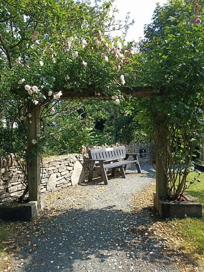 The image depicts a tranquil garden scene, likely a memorial or a quiet seating area, located in or near the town of Dungloe, Ireland. The focal point is a wooden pergola covered in a profusion of light pink roses, their blossoms reaching out towards the viewer. Beneath the pergola, a dark grey wooden bench with a slatted design offers a place to rest. The ground around the bench is covered in gravel, interspersed with fallen rose petals and leaves, suggesting a natural setting. To the left of the bench, a low, dry-stone wall made of rough, grey stones forms a boundary. In front of the wall, a light grey stone memorial plaque is partially visible, with inscriptions etched onto its surface. Further back, lush green trees and foliage create a dense, natural backdrop. The lighting suggests it is a sunny day, with dappled sunlight filtering through the rose bushes and casting shadows on the gravel path. The overall atmosphere is peaceful and serene.