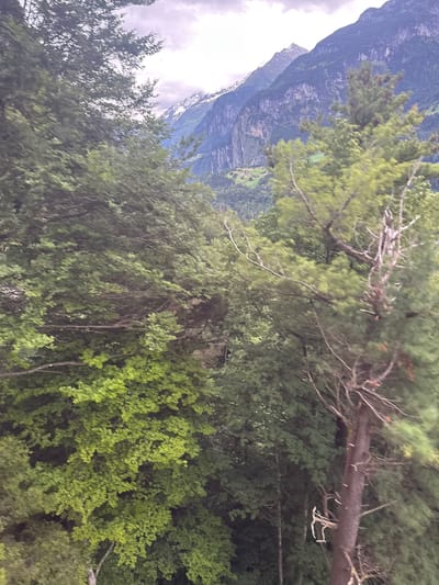 In the foreground of the image, a dense forest with vibrant green foliage dominates the scene. Various trees, some with bare branches, are interspersed, creating a layered effect. In the middle ground, a small village with houses is nestled amidst rolling green hills. The background features towering, majestic mountains, their peaks partially covered in snow, under a cloudy sky. The image appears to be a landscape shot taken from a high vantage point, possibly from a moving vehicle, given the slight blurriness. The overall impression is one of natural beauty and tranquility.