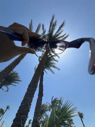 A low-angle shot depicts a hand holding sunglasses against a bright, cloudless sky filled with tall palm trees. The sun glares from behind one of the trees, creating a lens flare. The palm trees appear to be in Safaga, Egypt.
