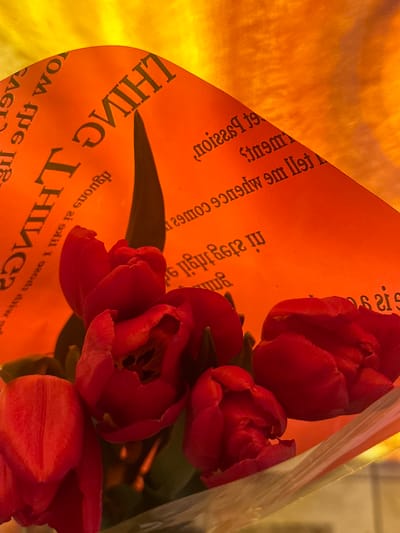 The scene depicts a bouquet of red tulips located in the city of Базарово, Russia. Five prominent red tulips, some partially unfurled revealing dark centers, are arranged and wrapped. The tulips are encased in clear, crinkled plastic film. Behind the flowers, an orange-colored paper serves as part of the bouquet's wrapping, featuring black, mirrored text. Visible phrases on the orange paper include "THINGS", "I like", "Tell me whence comes my patience", "passion", and "moment". The background is a soft, blurry expanse of warm yellow-orange light. There are no visible people or actions.