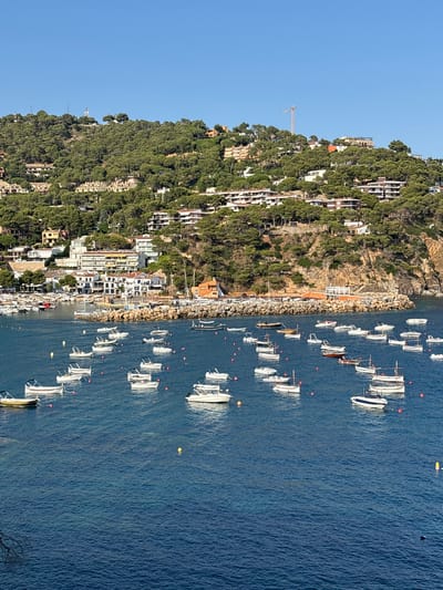 The image shows a view of the bay of Llafranc, Spain, looking towards the town nestled on a hillside covered in green pine trees. A clear blue sky dominates the upper portion of the image. The foreground is filled with numerous small boats anchored in the deep blue water. These boats are predominantly white, with a few displaying darker hulls or colored accents, and some have canopies. They are scattered across the bay, with some clustered closer to the shore.
The middle ground features a harbor area with a rocky breakwater protecting a collection of boats and a small quay. Along the waterfront, white buildings with numerous windows and balconies are visible, interspersed with some yellow-toned structures. These buildings appear to be a mix of residential and commercial properties.
The background is dominated by the steep, tree-covered hillside, dotted with more buildings that ascend towards the top of the frame. These buildings are mostly white or light-colored, with some featuring terracotta roofs. In the distance, on the top of the hill, a construction crane is visible, indicating ongoing development or renovation. The overall scene depicts a tranquil coastal town on a sunny day, with the bay bustling with small vessels.