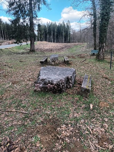 The image displays an outdoor scene located in Étalle, Belgium, depicting a forest clearing under a partly cloudy sky. The ground consists of uneven terrain covered with sparse green grass, patches of bare soil, brown fallen deciduous leaves, and scattered small branches and twigs.
Centrally positioned in the foreground is a large, rough-hewn, rectangular concrete block, grey and mottled with green moss, functioning as a table. Three smaller, similarly weathered concrete blocks are arranged around it, serving as seating; one is to the left, one to the right, and another partially obscured behind the central block.
In the mid-ground, two large trees are prominent. To the left is a tall coniferous tree with dark foliage. To the right, a deciduous tree with a bare trunk is heavily covered in ivy. A green park bench is visible beneath this ivy-covered tree. On the far right edge of the frame, a thin, dark, vertical stake is present.
The background features a dense line of tall, slender coniferous trees with light-colored trunks extending across the horizon. To the left of this forest line, a dirt road or track is partially visible. A gentle rise of earth, covered in dry vegetation, separates the immediate clearing from the background forest. No individuals are present in the scene.