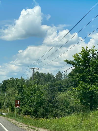 This image captures a roadside scene with a clear blue sky dotted with fluffy white clouds. Power lines stretch diagonally across the frame, supported by a wooden utility pole. Dense green foliage, primarily trees and tall grass, forms a thick border along the roadside. In the foreground, a brown sign with a white pictogram of a picnic table and a tree, along with the text "1 km," is visible on the right side of the road. The road itself, paved with a white line marking, is partially visible on the left. This scene is consistent with a rural setting in the municipality of Saint-André-Avellin, Canada, likely along a secondary road. There are no people or animals depicted.
