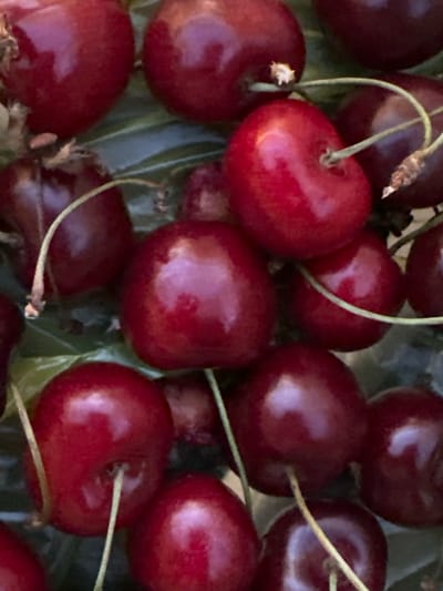 The image is a close-up, top-down view of a cluster of ripe cherries with visible stems and leaves. The cherries are a deep red color and appear plump and glossy, reflecting light. The background consists of blurred green leaves. The image does not contain any information that would allow for the identification of its location in Vityazevo, Russia, or any details about people, actions, or interactions. It is a still life composition focused solely on the cherries.