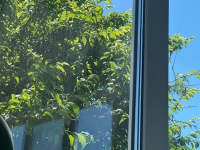 The image shows a view through a window, with lush green trees and a bright blue sky visible outside. The window frame, painted a light gray, divides the scene vertically. Sunlight filters through the leaves, creating dappled patterns. In the reflection on the window glass, parts of the interior are visible, including what appears to be a dark-colored object on the left side of the frame. The scene is serene and appears to be a sunny day. The location provided, Zudilovo, Russia, is a rural settlement, and the image's subject matter aligns with a natural outdoor setting. There are no people or animals visible in the frame.