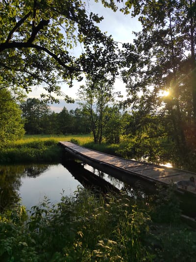 The image depicts a wooden footbridge crossing a tranquil body of water, likely a river or stream, in the Бярэзінскі сельскі Савет region of Belarus. Lush green trees and foliage surround the scene, with sunlight filtering through the leaves, creating dappled patterns on the bridge and water. The water reflects the sky and surrounding greenery. On the far bank of the water, a field of tall grass stretches towards a dense line of trees. A small, light-colored dog can be seen on the far end of the bridge, facing away from the camera. The sky above is partly cloudy, with the sun setting or rising, casting a warm glow over the landscape. The overall atmosphere is peaceful and natural.