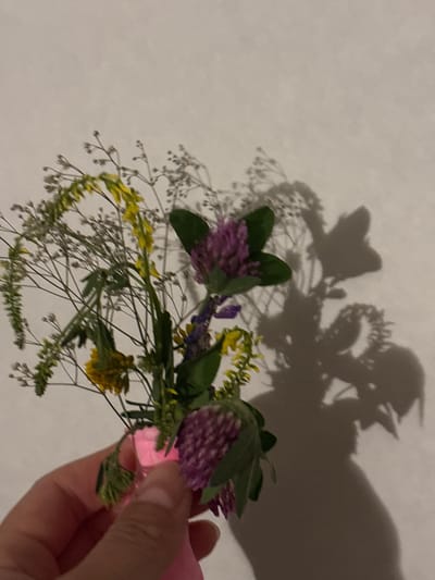 In Novaya Usman, Russia, a hand holds a small bouquet of wildflowers, primarily consisting of purple clover and yellow blossoms with delicate white spray flowers. The bouquet is bound with a pink ribbon and casts a distinct shadow on a textured off-white wall. The lighting suggests an indoor setting, likely illuminated by a light source positioned to the left of the bouquet, creating a dramatic shadow with a butterfly-like form and other amorphous shapes. The image is slightly out of focus, with a shallow depth of field that draws attention to the flowers and their shadowed reflections.