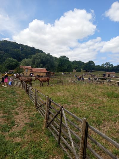 This is a medium-shot, eye-level photograph taken on a sunny day in Azannes-et-Soumazannes, France. The scene depicts a rural outdoor setting with a focus on a wooden fence in the foreground and a rustic building and horses in the midground.
The foreground features a weathered wooden fence, constructed with horizontal planks and vertical posts, stretching diagonally across the frame. The grass in this area is a mix of green and dry, with some patches of bare earth visible.
In the midground, two brown horses are present within a fenced enclosure. To the right of the horses is a stone building with a red tiled roof, resembling a barn or stable. There are people visible near the building and further into the background. Some people are standing by the building, while others are scattered across the grassy hills behind it. A wooden cart with large wheels is parked near the building.
The background shows a dense forest covering a sloping hill, with a bright blue sky dotted with white, fluffy clouds above. The overall impression is of a historical reenactment or a rural heritage site. The location is identified as Azannes-et-Soumazannes, France.