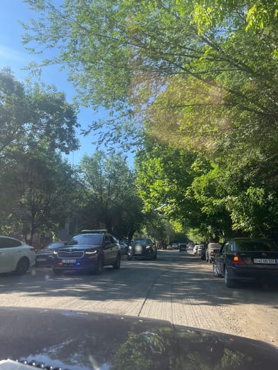 This media file shows a line of cars on a sunny day in what appears to be a rural or suburban area of Gladzor, Armenia. The road is unpaved and lined with trees that cast shadows across the scene. The perspective is from inside a vehicle, looking forward and to the side. The cars are parked or moving slowly in traffic, creating a congested scene.

The subjects are primarily cars of various models and colors. There are no people clearly visible. The setting is a tree-lined road under a clear blue sky, suggesting a warm, sunny day, likely in the late morning or early afternoon due to the strong shadows. The presence of multiple cars suggests a road or a parking area.

There is text visible on the license plates of some cars. One license plate reads "42 QQ 555" and another reads "937 CV 61". The overall mood is neutral, simply documenting a common travel or traffic situation.