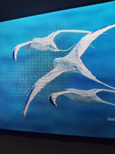 The image displays a digital rendering of three white birds with long wings and red beaks in flight against a blue background. The birds appear to be depicted in a stylized, somewhat abstract manner, with their forms outlined and textured. One bird is in the foreground, with its wings spread wide and its head turned downwards. Behind it, another bird is shown with its wings extended, and a third bird is visible in the upper portion of the frame, also in flight. The background is a uniform blue, suggesting open sky or water. The image is displayed on a screen, as evidenced by the visible pixelation and a portion of a dark frame at the top and bottom. The text "Goo" is faintly visible in the lower right corner of the screen. There is no indication of the city of Reftinsky, Russia, within the image itself.