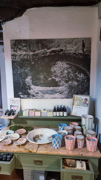 The image depicts an indoor scene, likely a shop or display area, featuring a variety of artisanal products. A large black and white photograph of sheep crossing a bridge hangs prominently on the wall above a shelf. The shelf itself displays several small bottles of liquid, presumably perfumes or oils, and a framed picture with text that appears to be in Spanish, mentioning "Cosmética natural." Below the shelf, a green-painted cabinet with a marble top showcases an assortment of items. These include decorative ceramic plates with floral designs, various small soaps or bars, and several candles in patterned ceramic containers. Some of these candles have labels that read "CERRO NELLA." The overall impression is one of a retail environment specializing in natural or handcrafted goods, possibly in a rustic or bohemian style. The context of Camprodon, Spain, suggests a location in a town known for its charm and potential for artisanal shops.
