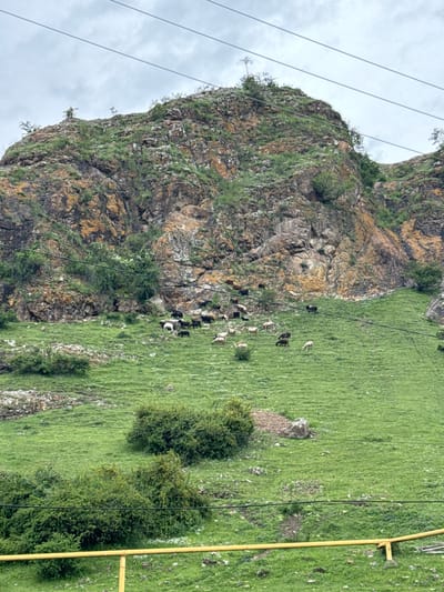 The image shows a rocky hillside in Каменномостский, Russia. The hillside is covered in green grass and vegetation. A herd of goats is grazing on the hillside. There are electrical wires and yellow gas pipes crossing the landscape. The sky is overcast.