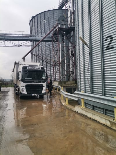 The scene is an outdoor industrial facility in Septemvritsi, Bulgaria, characterized by large grain storage silos under an overcast sky. A white Volvo FH series semi-truck and trailer, labeled "MAGIC FLAME" on its windshield banner and displaying Bulgarian license plate B 102 IF, is positioned on a wet concrete surface beneath a metal loading chute. White particulate matter is visible on the front section of the truck's trailer, suggesting an ongoing or recently completed loading operation.

To the right of the truck, a man in a dark jacket and trousers stands on the wet ground, leaning against a grey metal guardrail supported by yellow posts. He has his right arm raised in a gesture. Further to the left and partially obscured by the truck, a second individual in an olive-green jacket is visible.

Dominating the background are two large, corrugated metal grain silos. The silo on the immediate right is marked with a prominent black number "2". An elaborate metal gantry system, including conveyor infrastructure, connects the silos, with the diagonal loading chute descending from it towards the truck. A street light is mounted on the side of silo "2". The ground is extensively wet, covered in puddles reflecting the dull sky and nearby structures.