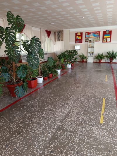 The image depicts a hallway with a speckled, grey floor that appears wet. Red and yellow lines mark the floor, suggesting a designated path or boundary. Along the left wall, several large potted plants, including a Monstera deliciosa, are arranged. Further down the hall, a display cabinet holds trophies, and more potted plants are visible along the right wall. Posters, one featuring the Ukrainian flag, are displayed on the wall. The ceiling has a patterned design. The scene appears to be an indoor space, likely a school or public building, in Pavlohrad, Ukraine. There are no people visible in the image.