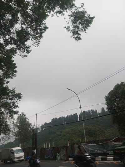 The image captures an outdoor scene dominated by an overcast sky and lush greenery, depicting a road alongside a tree-covered hillside.
The sky occupies a large portion of the upper frame, appearing uniformly light gray, indicating a heavily cloudy or overcast day, without any direct sunlight. Large, dense green tree canopies frame the top left and top right corners, with their foliage partially obscuring the sky. The leaves appear wet or dewy, adding to the muted tones.
Below the sky and tree canopies, a prominent green hillside stretches across the mid-ground. The hillside is densely covered with trees, some appearing as a continuous line of dark green, slender trees along the ridge, possibly evergreens. Below this ridge, the hillside continues down with more varied foliage.
In the lower half of the image, a paved road runs horizontally. On the left side of the road, a white box truck or small delivery truck is visible, moving or parked by the roadside. Several motorcycles are on the road; one motorcycle with a rider is clearly visible in the lower left, while another on the right is blurred due to motion, suggesting ongoing traffic.
Along the right side of the road, at the base of the hillside, there is a low wall or barrier, possibly concrete or metal, adorned with graffiti in various colors, though the specific text is largely illegible due to distance and blur. Over this wall, on the right, some draped, tarp-like fabric is visible.
A tall, curved street light pole stands on the right side of the road, its light fixture pointing upwards. Multiple dark power lines extend horizontally across the image, supported by poles that are mostly out of frame or obscured, but one pole is visible near the center.
The overall impression is that of a cool, possibly humid day in a semi-urban or rural area, with ongoing road activity against a natural, green backdrop. The dominant colors are greens, grays, and the dark tones of the infrastructure and vehicle tires.