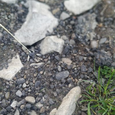 The image depicts a close-up view of the ground in the city of Vyhoda, Ukraine. The surface is composed of small, dark grey and lighter grey pebbles and stones, interspersed with patches of dark soil. Several larger, irregularly shaped light grey stones are visible, one prominently in the upper left quadrant and another towards the bottom right. A thin, pale stalk of dry grass or a similar plant extends diagonally from the upper left towards the center of the image. In the lower right corner, a small cluster of vibrant green grass is growing amongst the stones. The scene appears to be an outdoor environment, possibly a pathway, roadside, or undeveloped area. There are no people or visible animals in the frame.