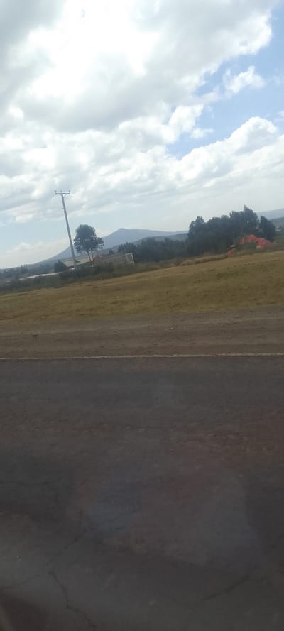 The image displays an outdoor scene located in Hells Gate ward, Kenya. The foreground consists of a dark gray asphalt road surface, exhibiting minor cracks and variations in tone, with a faint horizontal white line visible near its upper edge. Above the road, a strip of light brown earth transitions into a field of dry, yellow-green grass.
In the midground, a dark-colored utility pole stands erect, leaning slightly to the right, with several horizontal power lines extending from its top section. Behind and to the right of the pole, a dark green deciduous tree is prominent. Further right, a light-colored, rectangular building with visible windows is situated amidst sparse vegetation. To the far right, partially obscured by a dense line of dark green trees, are several structures topped with red roofing or covers.
The background features distant, hazy blue-gray mountains stretching across the horizon. The sky occupies the upper portion of the image, dominated by bright white cumulus clouds with interspersed patches of clear light blue sky, particularly towards the upper right. The scene is illuminated by natural daylight. No individuals, vehicles, or animals are present in the image.