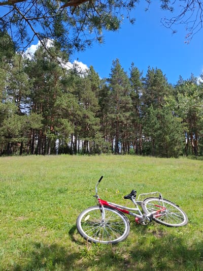 The image depicts a bicycle lying on its side in a grassy field next to a line of trees. The bicycle is primarily silver with red accents. The grass is green and appears well-maintained. Behind the field is a row of dense, tall trees. The sky is a clear blue with some wispy clouds visible through the trees. The scene appears to be outdoors on a sunny day. The location is Elets-Malanino, Russia.