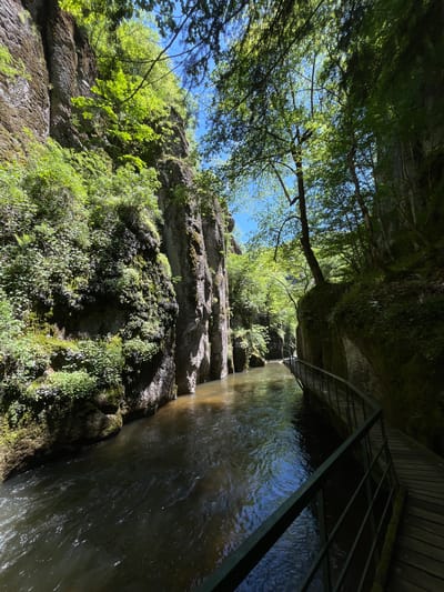 The image depicts a section of the Devin River eco-trail in Devin, Bulgaria. A rock face covered with greenery rises on the left, while the river flows on the right, bordered by a wooden boardwalk with a metal railing. Above, trees filter the sunlight, creating a mix of light and shadow.