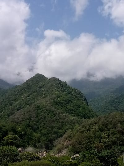 The image depicts a mountainous landscape in Camurí Grande, Venezuela. The foreground is dominated by lush green vegetation and trees. In the middle ground, a prominent, tree-covered mountain rises steeply. Further in the background, more mountains are visible, partially obscured by clouds and mist. The sky above is a mix of blue with scattered white clouds. In the lower section of the image, a small industrial or construction area is visible, with some structures and possibly machinery amidst the trees. There are no people clearly visible in the scene. The overall impression is of a natural, rugged environment with a touch of human industrial activity.