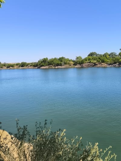 This media file depicts a tranquil natural scene under a clear blue sky, suggesting a warm, sunny day. The prominent subject is a body of water, likely a lake or a wide river, reflecting the bright sky and exhibiting gentle ripples on its surface. The water's color shifts from a lighter blue in the distance to a deeper, greenish-blue closer to the foreground.
The far bank of the water features a lush, green treeline interspersed with patches of rocky, exposed earth and lighter soil. The trees appear dense and healthy, creating a natural border along the water's edge. In the foreground, a sandy bank slopes down towards the water, adorned with dry, sparse vegetation. The plants are mostly leafy shrubs with thin branches, casting subtle shadows on the sand.
The overall atmosphere is serene and peaceful, characteristic of a quiet outdoor location. The clear sky and bright sunlight indicate it is daytime, likely mid-morning to late afternoon. There are no people or specific objects of interest visible in the scene, placing the focus solely on the natural landscape. The location context suggests this could be a picturesque spot in Almazne, Ukraine, offering a moment of natural beauty. No text is visible in the image.
