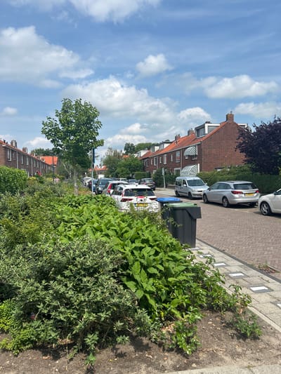 This image depicts a residential street in Leiden, Netherlands, likely on a sunny day with scattered clouds. In the foreground, lush green bushes and plants line the sidewalk. The street is paved with brickwork and features a row of parked cars. The houses visible are typical Dutch-style brick buildings with tiled roofs. Several trash bins are placed along the sidewalk. The overall impression is that of a peaceful, well-maintained urban neighborhood.