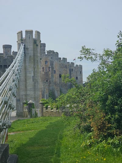 The image shows a view of Conwy Castle in Conwy, Llandudno Junction, United Kingdom. The castle is constructed from grey stone and features multiple towers and battlements. A bridge, constructed from steel cables, spans the moat and provides access to the castle. The Welsh flag flies atop one of the towers. The castle is surrounded by green grass, and trees are present in the scene.