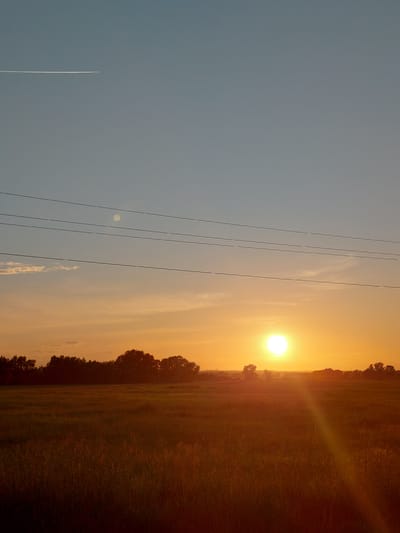 A vertical, eye-level, medium shot captures a rural landscape at dusk. The clear sky transitions from a pale blue at the top to a vibrant orange and yellow hue near the horizon, indicating the setting sun. A thin, white contrail from an airplane stretches horizontally across the upper left quadrant of the sky. Four parallel black power lines traverse the frame horizontally, roughly one-third of the way down from the top.
Below the power lines, a dense line of silhouetted trees forms the horizon. The setting sun is a bright, white orb, positioned slightly to the right of the frame's center, casting a warm glow across the scene. A faint lens flare streaks diagonally from the sun down and to the right across the field. The foreground is dominated by a field of tall, dry grass, rendered in warm, earthy tones of orange and brown due to the low light. The overall impression is one of a serene, natural landscape in the twilight hours, located in the city of Vozdvizhenka, Russia. No people or active events are depicted.